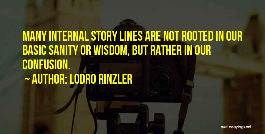 Lodro Rinzler Quotes: Many Internal Story Lines Are Not Rooted In Our Basic Sanity Or Wisdom, But Rather In Our Confusion.