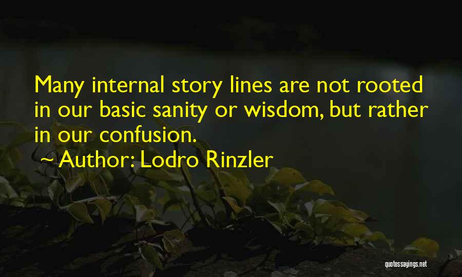 Lodro Rinzler Quotes: Many Internal Story Lines Are Not Rooted In Our Basic Sanity Or Wisdom, But Rather In Our Confusion.