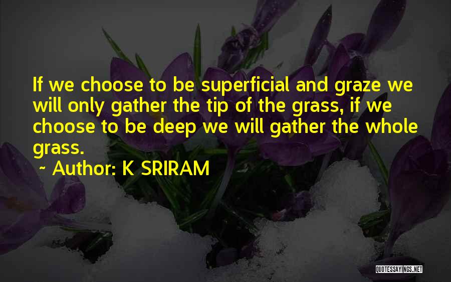 K SRIRAM Quotes: If We Choose To Be Superficial And Graze We Will Only Gather The Tip Of The Grass, If We Choose