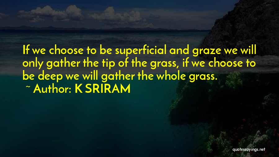 K SRIRAM Quotes: If We Choose To Be Superficial And Graze We Will Only Gather The Tip Of The Grass, If We Choose