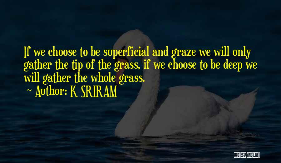 K SRIRAM Quotes: If We Choose To Be Superficial And Graze We Will Only Gather The Tip Of The Grass, If We Choose