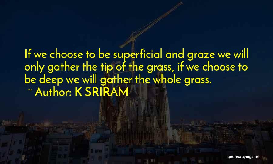 K SRIRAM Quotes: If We Choose To Be Superficial And Graze We Will Only Gather The Tip Of The Grass, If We Choose