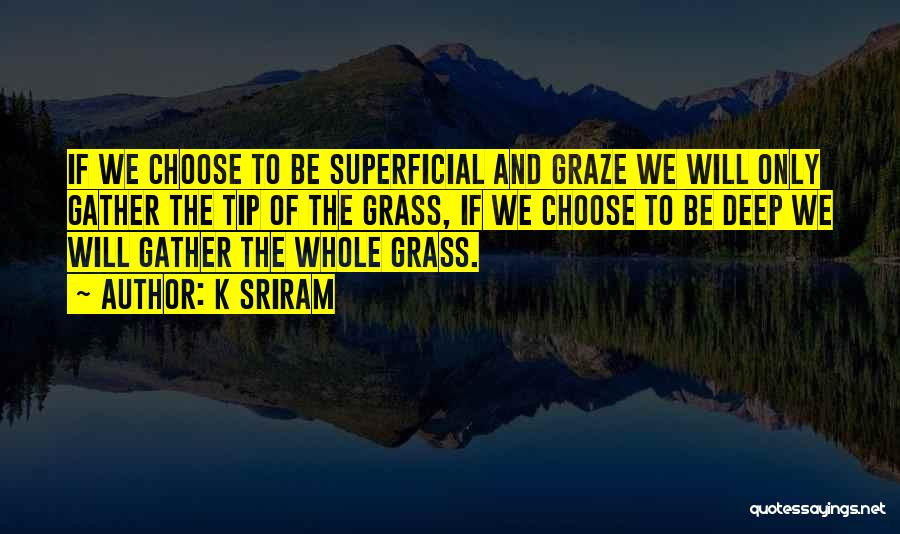K SRIRAM Quotes: If We Choose To Be Superficial And Graze We Will Only Gather The Tip Of The Grass, If We Choose
