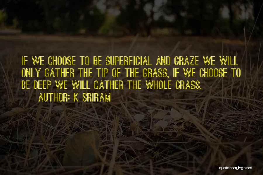 K SRIRAM Quotes: If We Choose To Be Superficial And Graze We Will Only Gather The Tip Of The Grass, If We Choose