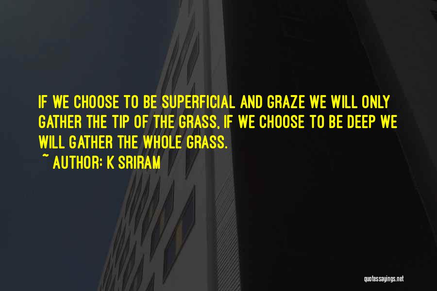 K SRIRAM Quotes: If We Choose To Be Superficial And Graze We Will Only Gather The Tip Of The Grass, If We Choose