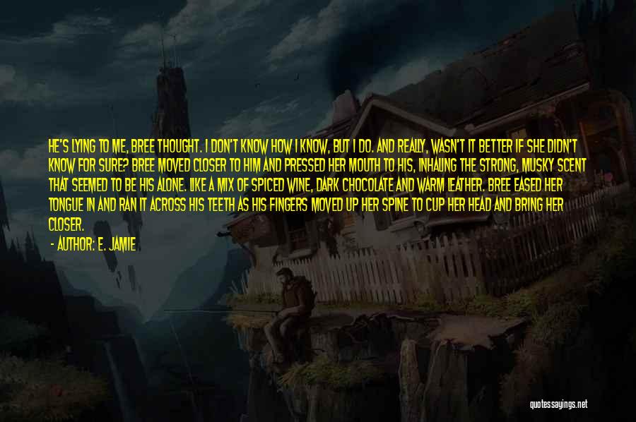 E. Jamie Quotes: He's Lying To Me, Bree Thought. I Don't Know How I Know, But I Do. And Really, Wasn't It Better