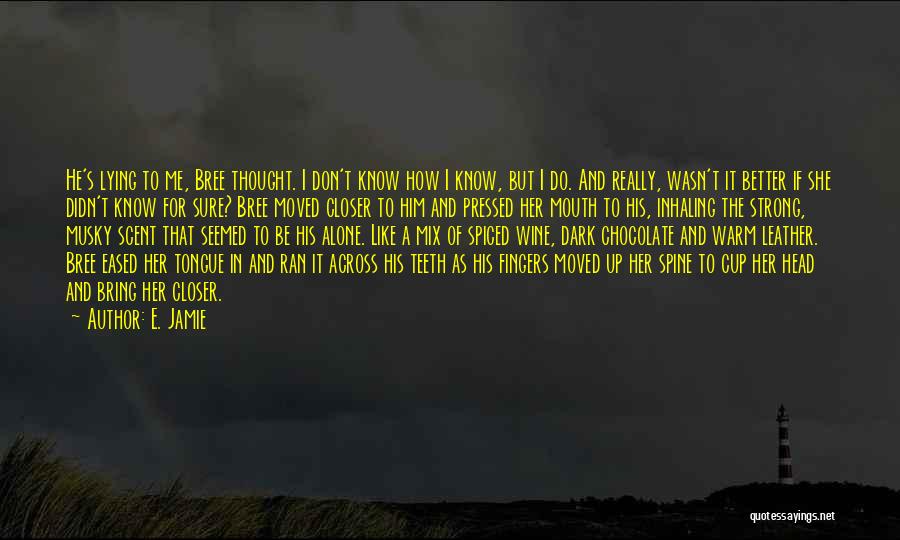 E. Jamie Quotes: He's Lying To Me, Bree Thought. I Don't Know How I Know, But I Do. And Really, Wasn't It Better