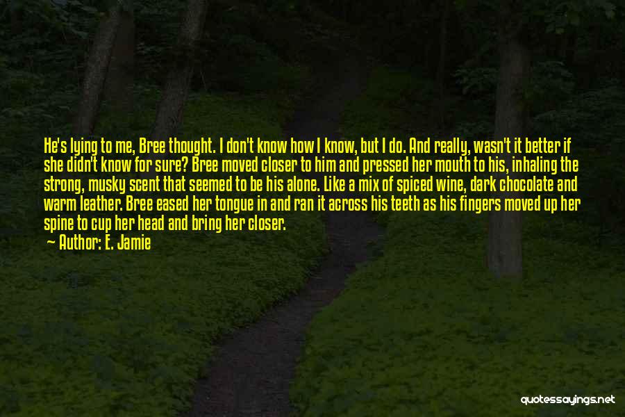 E. Jamie Quotes: He's Lying To Me, Bree Thought. I Don't Know How I Know, But I Do. And Really, Wasn't It Better