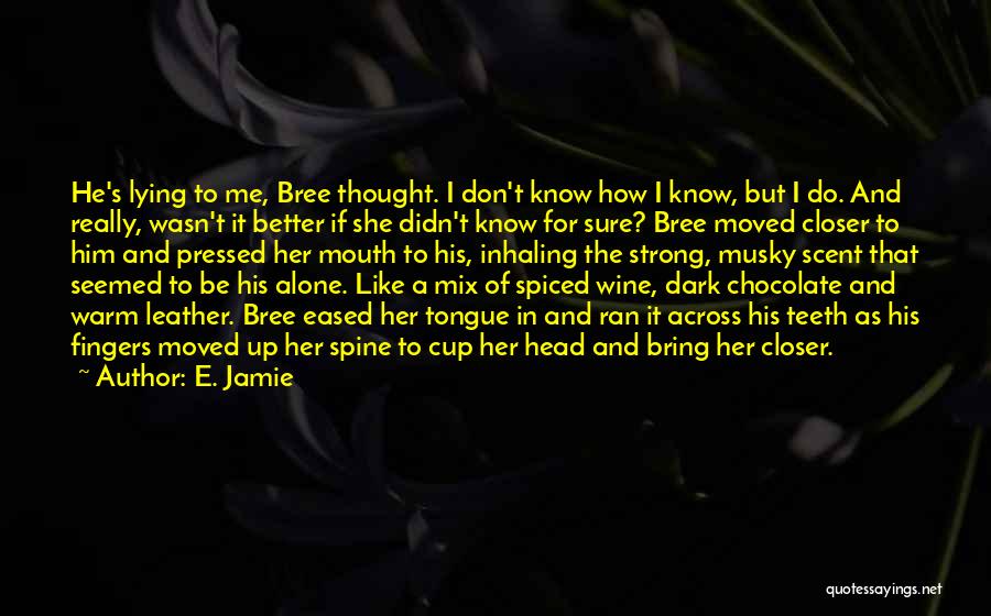 E. Jamie Quotes: He's Lying To Me, Bree Thought. I Don't Know How I Know, But I Do. And Really, Wasn't It Better