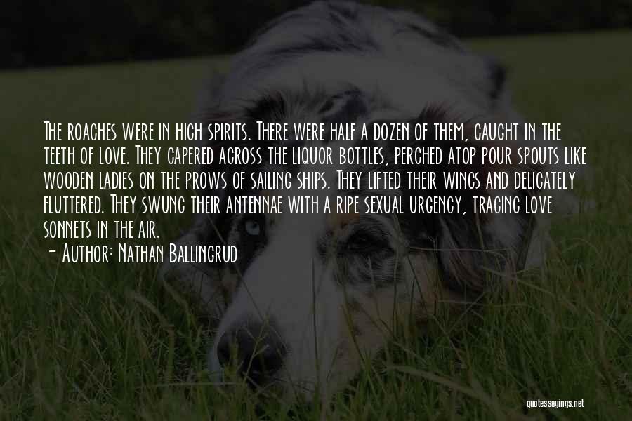 Nathan Ballingrud Quotes: The Roaches Were In High Spirits. There Were Half A Dozen Of Them, Caught In The Teeth Of Love. They