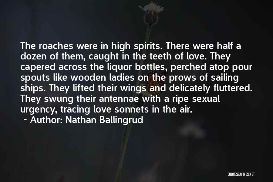 Nathan Ballingrud Quotes: The Roaches Were In High Spirits. There Were Half A Dozen Of Them, Caught In The Teeth Of Love. They