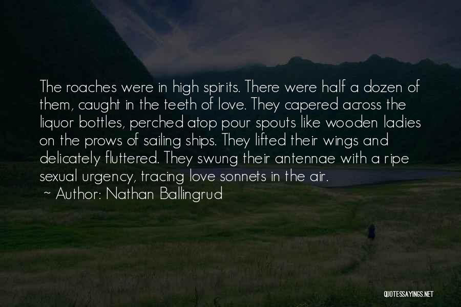 Nathan Ballingrud Quotes: The Roaches Were In High Spirits. There Were Half A Dozen Of Them, Caught In The Teeth Of Love. They