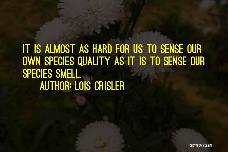 Lois Crisler Quotes: It Is Almost As Hard For Us To Sense Our Own Species Quality As It Is To Sense Our Species