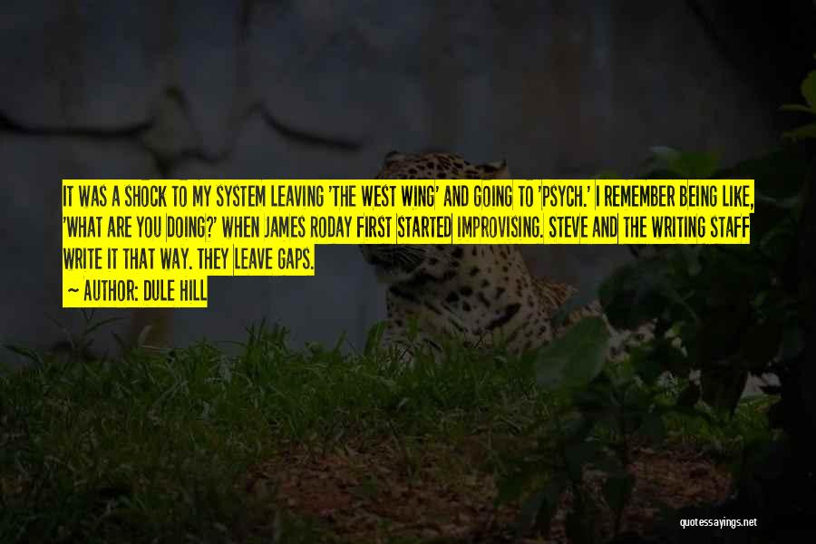 Dule Hill Quotes: It Was A Shock To My System Leaving 'the West Wing' And Going To 'psych.' I Remember Being Like, 'what