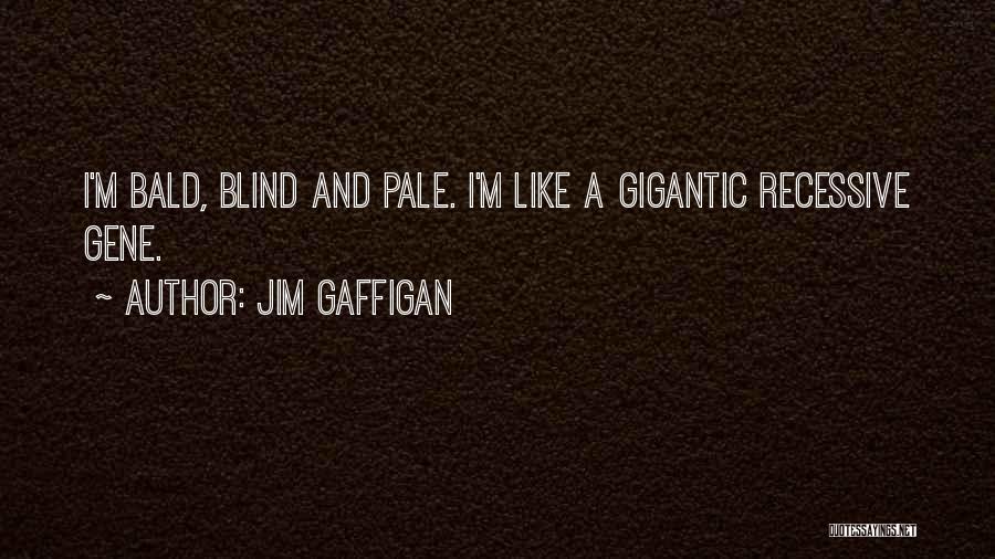 Jim Gaffigan Quotes: I'm Bald, Blind And Pale. I'm Like A Gigantic Recessive Gene.
