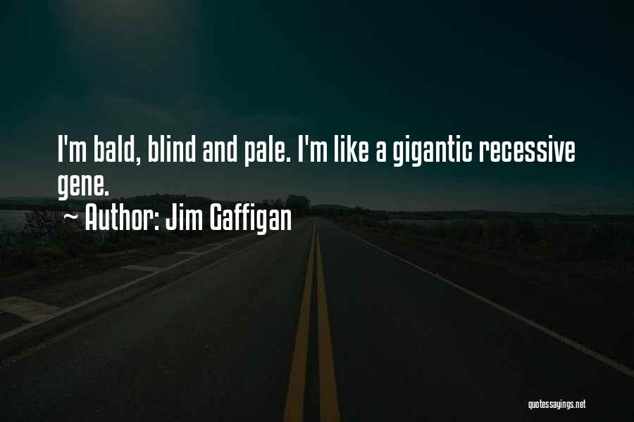 Jim Gaffigan Quotes: I'm Bald, Blind And Pale. I'm Like A Gigantic Recessive Gene.