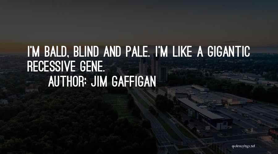 Jim Gaffigan Quotes: I'm Bald, Blind And Pale. I'm Like A Gigantic Recessive Gene.