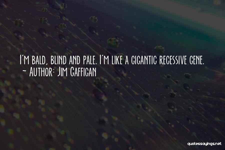 Jim Gaffigan Quotes: I'm Bald, Blind And Pale. I'm Like A Gigantic Recessive Gene.