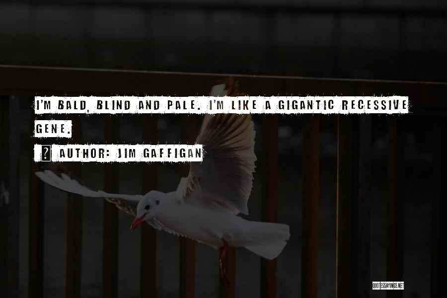 Jim Gaffigan Quotes: I'm Bald, Blind And Pale. I'm Like A Gigantic Recessive Gene.