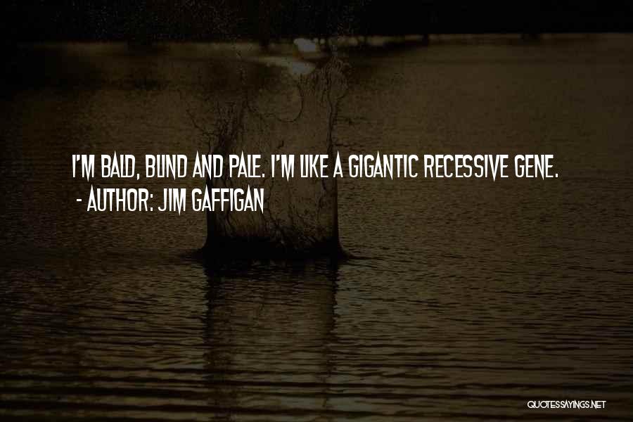 Jim Gaffigan Quotes: I'm Bald, Blind And Pale. I'm Like A Gigantic Recessive Gene.