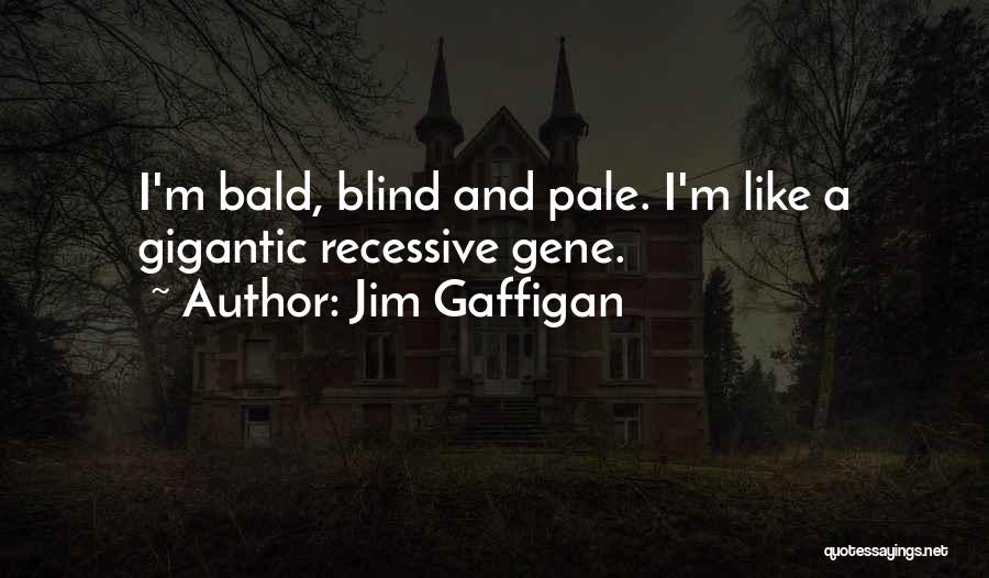 Jim Gaffigan Quotes: I'm Bald, Blind And Pale. I'm Like A Gigantic Recessive Gene.