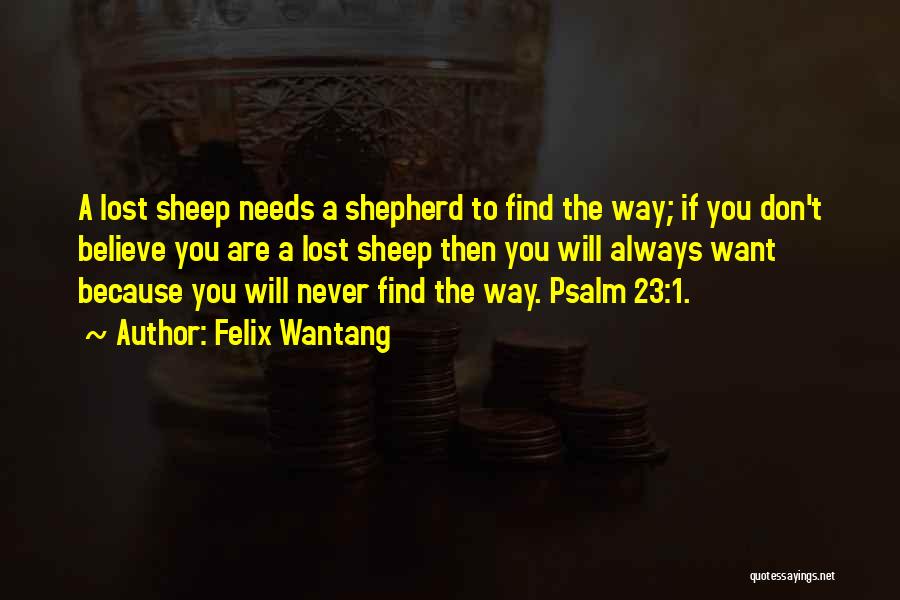 Felix Wantang Quotes: A Lost Sheep Needs A Shepherd To Find The Way; If You Don't Believe You Are A Lost Sheep Then