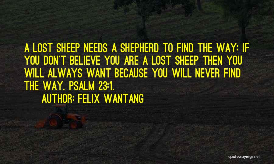 Felix Wantang Quotes: A Lost Sheep Needs A Shepherd To Find The Way; If You Don't Believe You Are A Lost Sheep Then