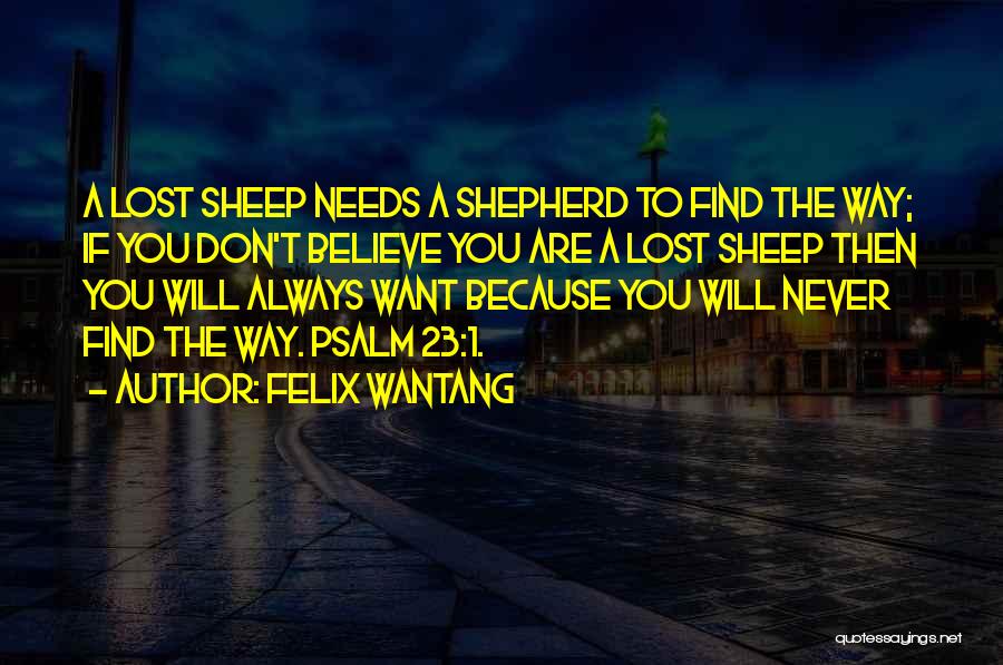 Felix Wantang Quotes: A Lost Sheep Needs A Shepherd To Find The Way; If You Don't Believe You Are A Lost Sheep Then