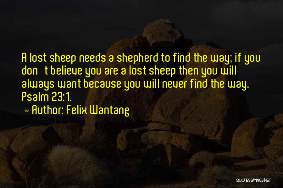 Felix Wantang Quotes: A Lost Sheep Needs A Shepherd To Find The Way; If You Don't Believe You Are A Lost Sheep Then