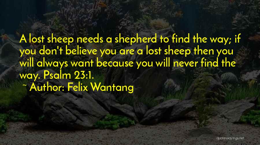 Felix Wantang Quotes: A Lost Sheep Needs A Shepherd To Find The Way; If You Don't Believe You Are A Lost Sheep Then