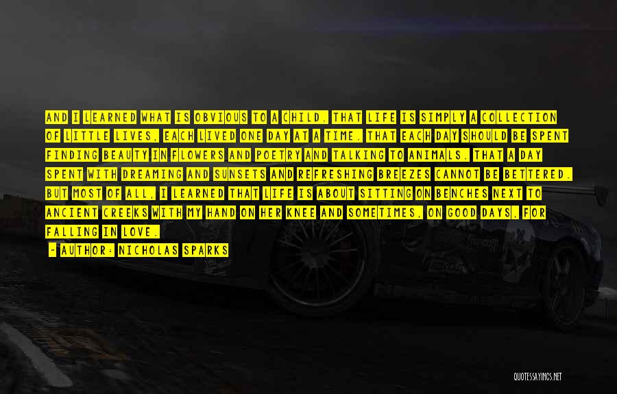 Nicholas Sparks Quotes: And I Learned What Is Obvious To A Child. That Life Is Simply A Collection Of Little Lives, Each Lived