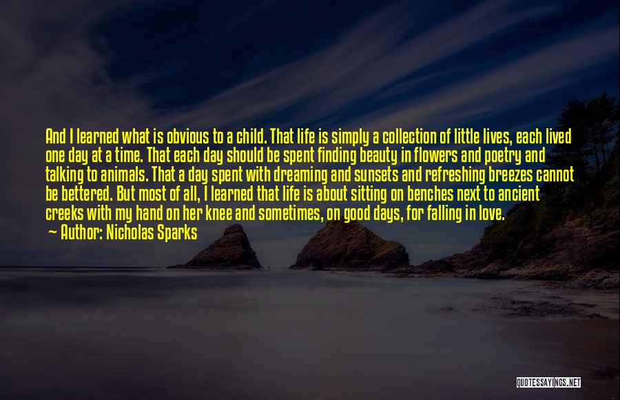 Nicholas Sparks Quotes: And I Learned What Is Obvious To A Child. That Life Is Simply A Collection Of Little Lives, Each Lived