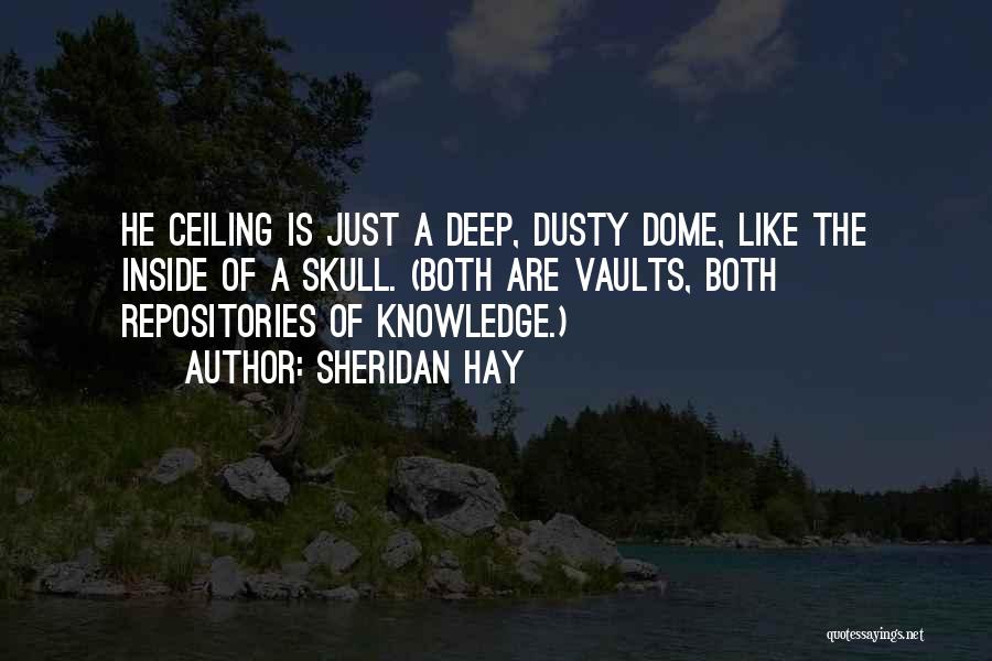 Sheridan Hay Quotes: He Ceiling Is Just A Deep, Dusty Dome, Like The Inside Of A Skull. (both Are Vaults, Both Repositories Of