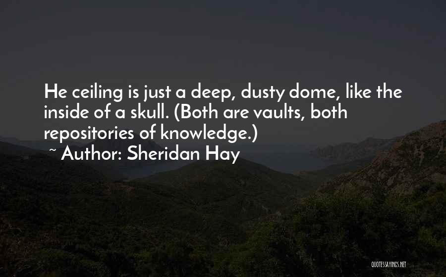 Sheridan Hay Quotes: He Ceiling Is Just A Deep, Dusty Dome, Like The Inside Of A Skull. (both Are Vaults, Both Repositories Of