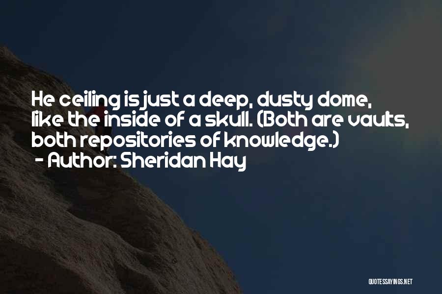Sheridan Hay Quotes: He Ceiling Is Just A Deep, Dusty Dome, Like The Inside Of A Skull. (both Are Vaults, Both Repositories Of