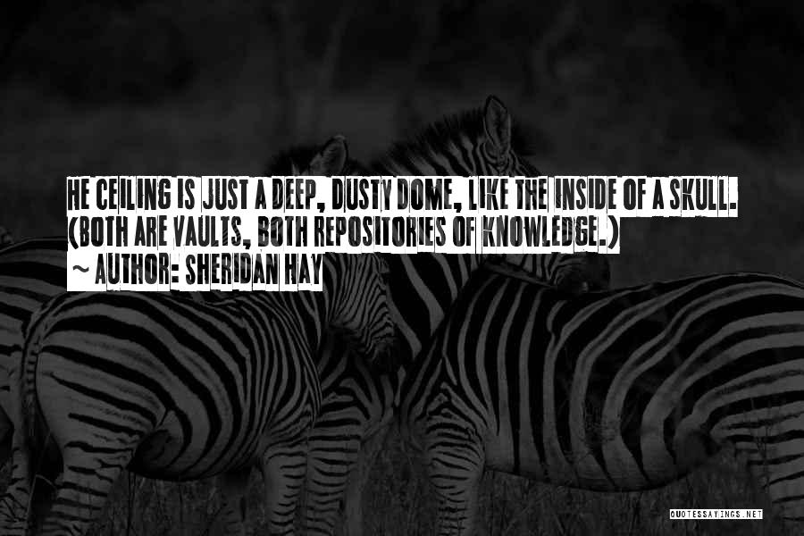 Sheridan Hay Quotes: He Ceiling Is Just A Deep, Dusty Dome, Like The Inside Of A Skull. (both Are Vaults, Both Repositories Of