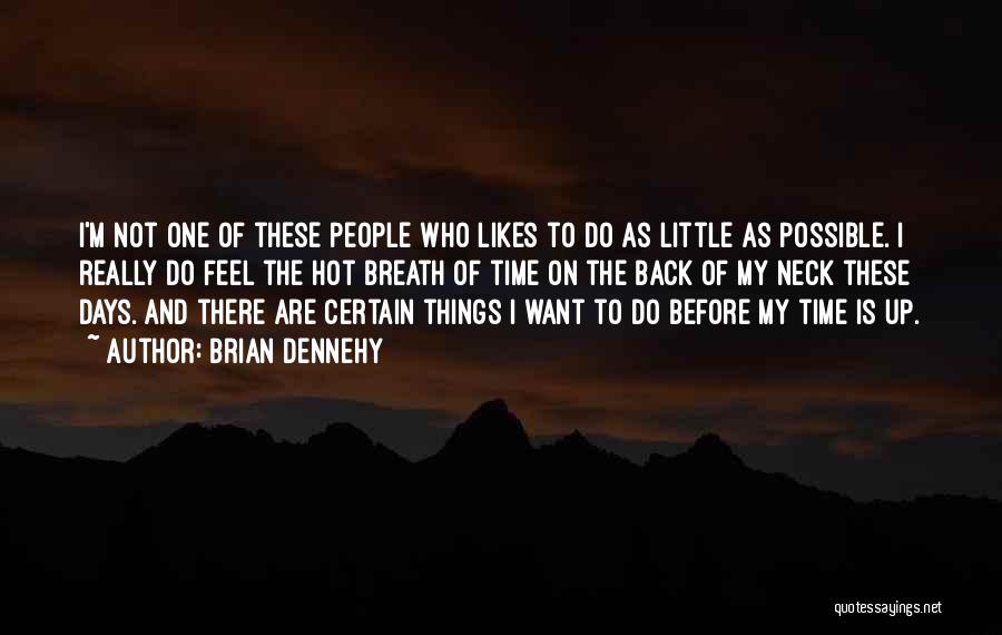 Brian Dennehy Quotes: I'm Not One Of These People Who Likes To Do As Little As Possible. I Really Do Feel The Hot