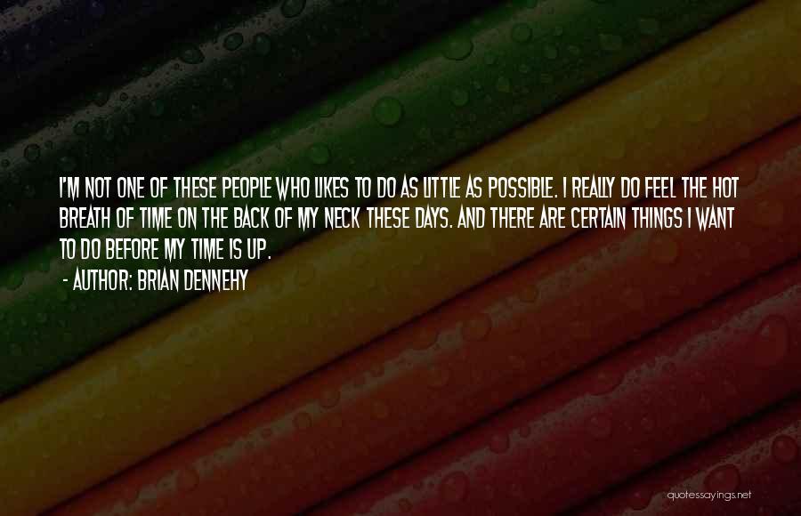 Brian Dennehy Quotes: I'm Not One Of These People Who Likes To Do As Little As Possible. I Really Do Feel The Hot