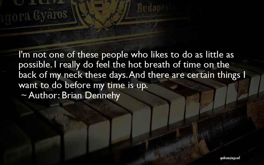 Brian Dennehy Quotes: I'm Not One Of These People Who Likes To Do As Little As Possible. I Really Do Feel The Hot