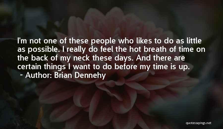 Brian Dennehy Quotes: I'm Not One Of These People Who Likes To Do As Little As Possible. I Really Do Feel The Hot