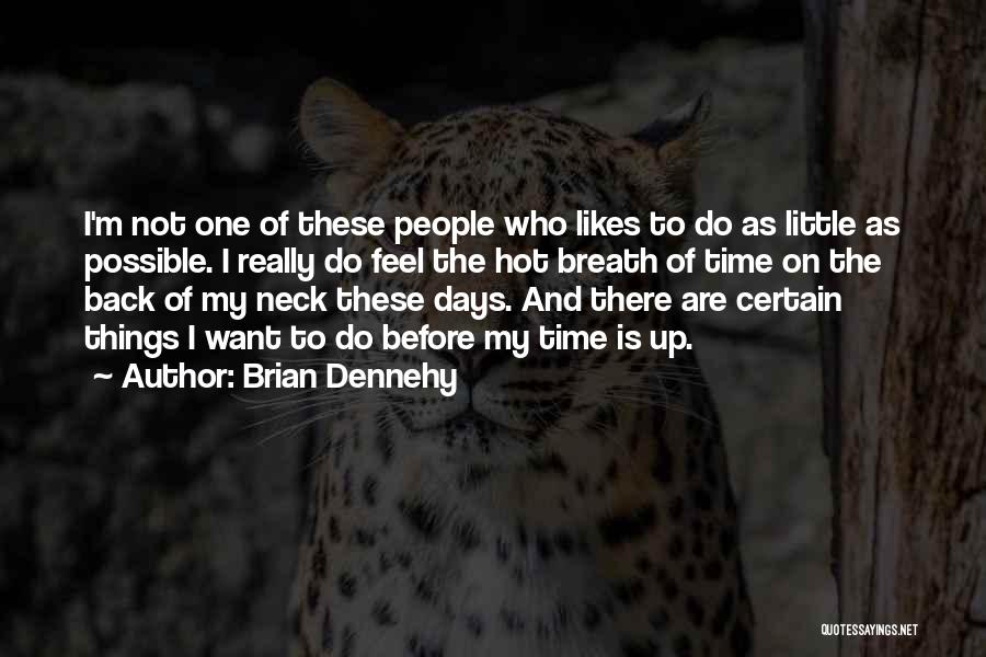 Brian Dennehy Quotes: I'm Not One Of These People Who Likes To Do As Little As Possible. I Really Do Feel The Hot