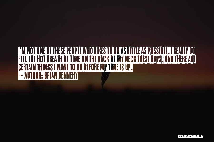 Brian Dennehy Quotes: I'm Not One Of These People Who Likes To Do As Little As Possible. I Really Do Feel The Hot