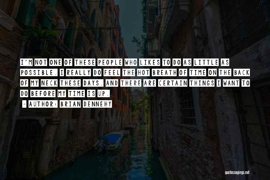 Brian Dennehy Quotes: I'm Not One Of These People Who Likes To Do As Little As Possible. I Really Do Feel The Hot