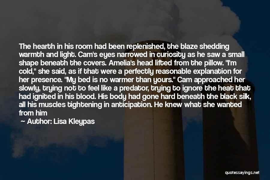 Lisa Kleypas Quotes: The Hearth In His Room Had Been Replenished, The Blaze Shedding Warmth And Light. Cam's Eyes Narrowed In Curiosity As