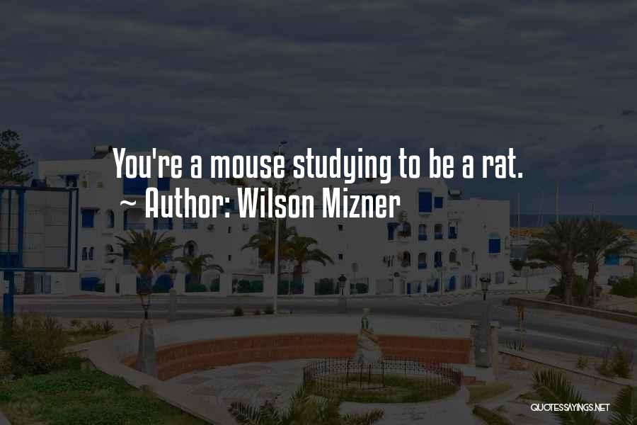 Wilson Mizner Quotes: You're A Mouse Studying To Be A Rat.