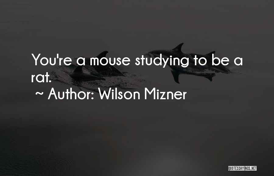 Wilson Mizner Quotes: You're A Mouse Studying To Be A Rat.