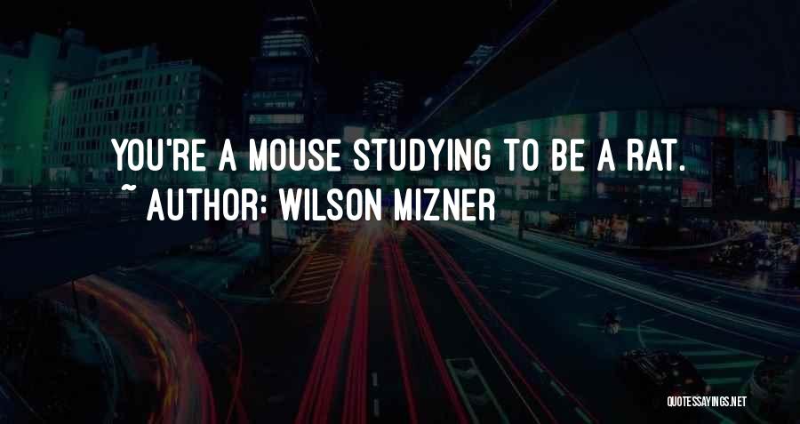 Wilson Mizner Quotes: You're A Mouse Studying To Be A Rat.