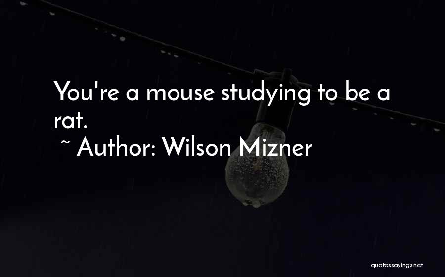 Wilson Mizner Quotes: You're A Mouse Studying To Be A Rat.