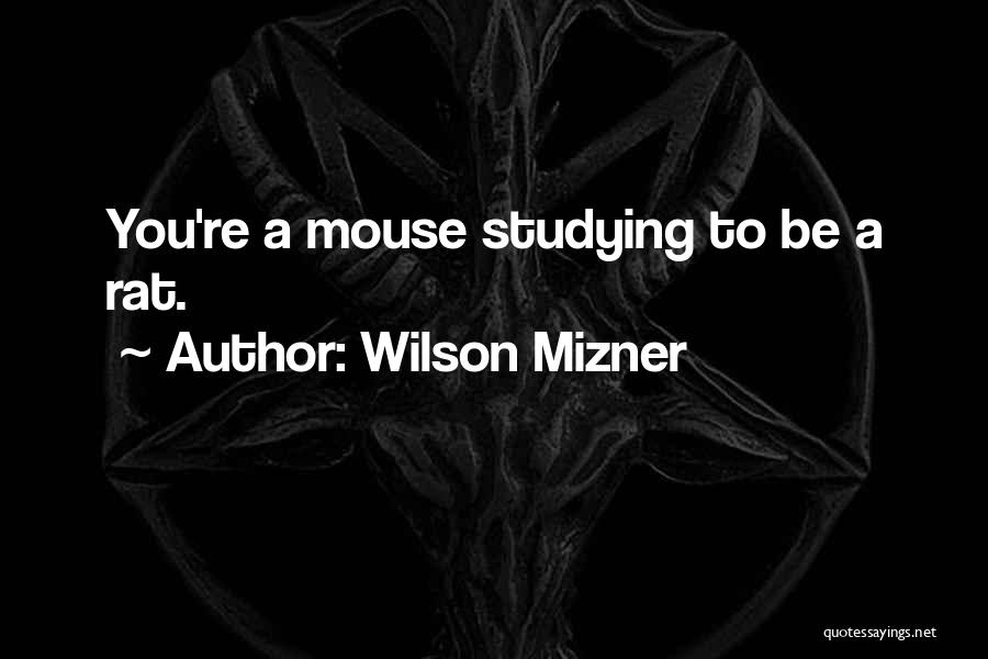 Wilson Mizner Quotes: You're A Mouse Studying To Be A Rat.