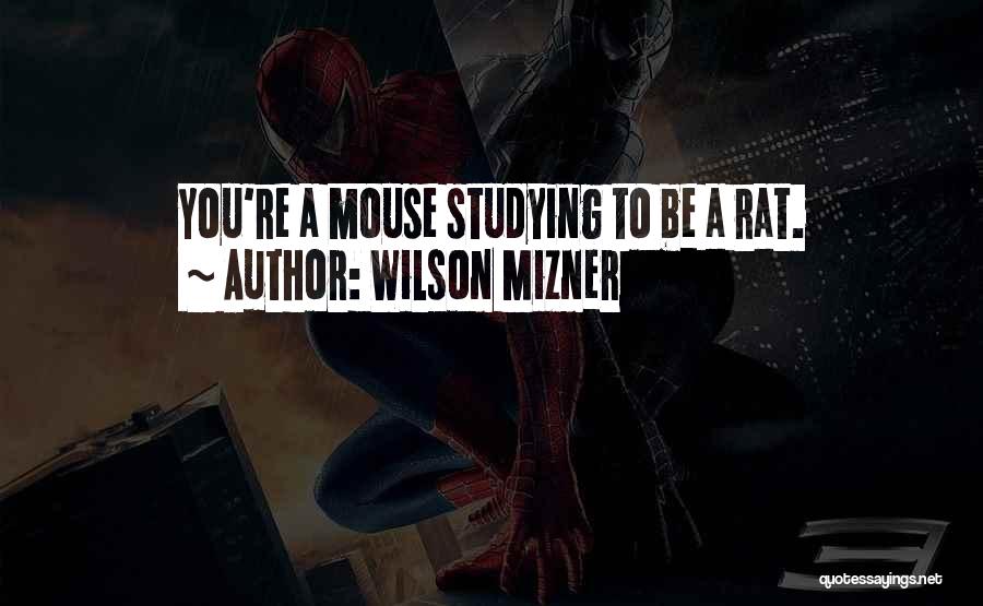 Wilson Mizner Quotes: You're A Mouse Studying To Be A Rat.